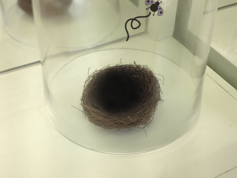 A Love Letter to Eternal Dragonz: On Asian Self-Love and the Possibilities of Cyber&nbsp;Community